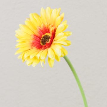 Fleur décorative Gerbera TEUDELINDE, jaune, 55cm, Ø8cm