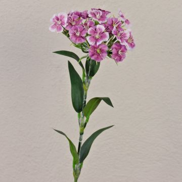 Œillet de poète artificiel SUSILAWA, violet-blanc, 55cm Œillet de poète artificiel SUSILAWA, violet-blanc, 55cm
