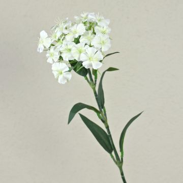 Œillet de poète artificiel SUSILAWA, blanc-crème, 55cm