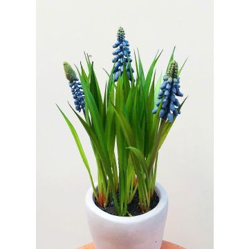 Fleur décorative Muscari NARMADA dans un pot en ciment, bleu, 20cm