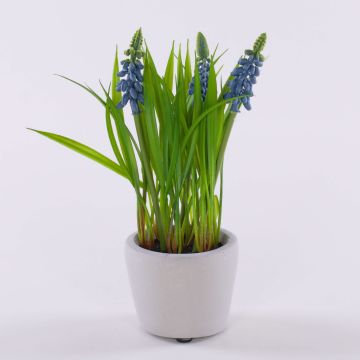 Fleur décorative Muscari NARMADA dans un pot en ciment, bleu, 20cm Fleur décorative Muscari NARMADA dans un pot en ciment, bleu, 20cm