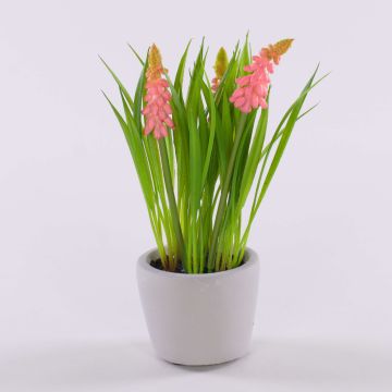 Fleur décorative Muscari NARMADA dans un pot en ciment, rose, 20cm Fleur décorative Muscari NARMADA dans un pot en ciment, rose, 20cm