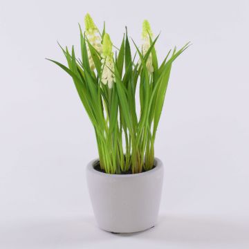 Fleur décorative Muscari NARMADA dans un pot en ciment, blanc, 20cm Fleur décorative Muscari NARMADA dans un pot en ciment, blanc, 20cm