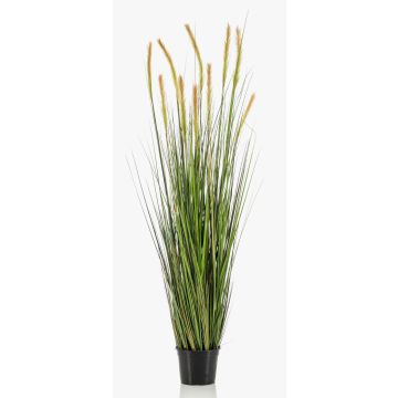 Kunstgras Deko Fuchsschwanzgras ANAELLA mit Rispen, grün, 150cm Kunstgras Deko Fuchsschwanzgras ANAELLA mit Rispen, grün, 150cm