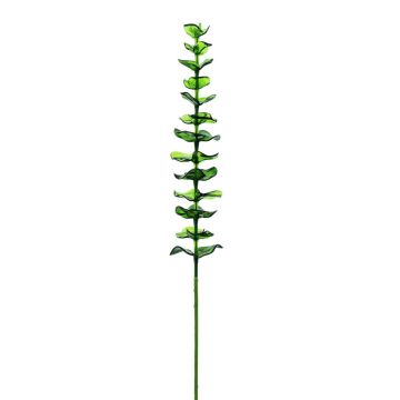 Branches d'eucalyptus artificielles GLAUCO aspect verre, lot de 12, vertes, 80 cm