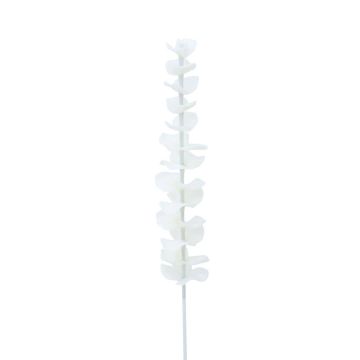 Branche d'eucalyptus en plastique GLAUCO aspect verre, lot de 12, blanche, 80 cm Branche d'eucalyptus en plastique GLAUCO aspect verre, lot de 12, blanche, 80 cm