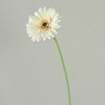 Fleur décorative Gerbera TEUDELINDE, blanc-crème, 55cm, Ø8cm Fleur décorative Gerbera TEUDELINDE, blanc-crème, 55cm, Ø8cm