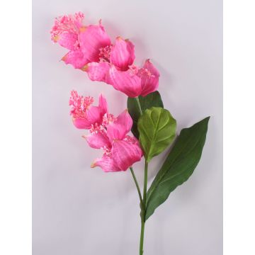 Branche fleurie décorative Medinilla LASENTER, rose, 110cm