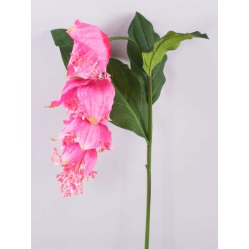 Branche fleurie décorative Medinilla LASENTER, rose, 140cm Branche fleurie décorative Medinilla LASENTER, rose, 140cm
