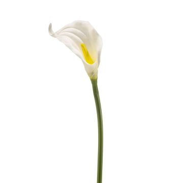 Calla artificielle TEMBANA, blanche, 65 cm Calla artificielle TEMBANA, blanche, 65 cm