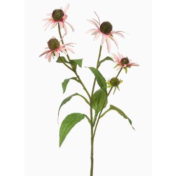 Rameau décoratif de rudbeckie MILROV, rose clair, 75cm
