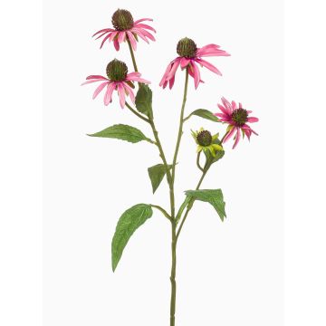 Rameau décoratif de rudbeckie MILROV, rose, 75cm Rameau décoratif de rudbeckie MILROV, rose, 75cm