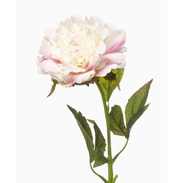 Pivoine synthétique GAVRON, blanc-rose, 55cm Pivoine synthétique GAVRON, blanc-rose, 55cm