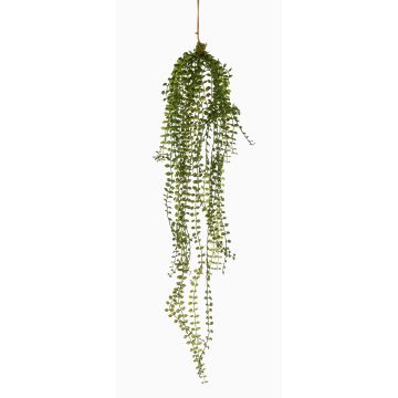 Suspension de ficus pumila artificielle TAMON, vert, 90cm