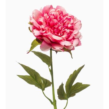 Pivoine synthétique GAVRON, rose, 55cm Pivoine synthétique GAVRON, rose, 55cm