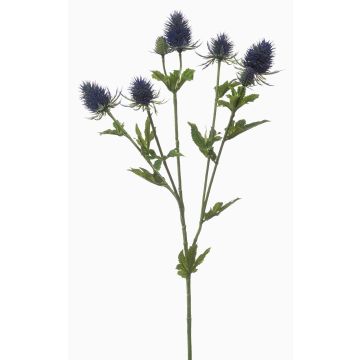 Fausse branche d'eryngium JESSAMINE, bleu, 70cm