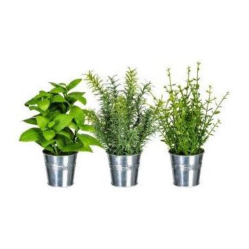 Mélange d'herbes artificielles en zinc DRILHO, basilic, romarin, thym, 3 pièces, pot, vert, 25cm, Ø16cm