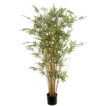 Plante artificielle bambou KEAO, tiges de bambou véritables, 120 cm Plante artificielle bambou KEAO, tiges de bambou véritables, 120 cm