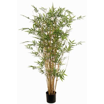 Plante artificielle bambou KEAO, tiges de bambou véritables, 120cm