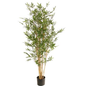 Plante artificielle bambou KEAO, tiges de bambou véritables, 150 cm Plante artificielle bambou KEAO, tiges de bambou véritables, 150 cm