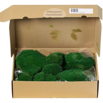 Mousse en plaques naturelle SEETHA, verte, 800 g, 0,15 m²