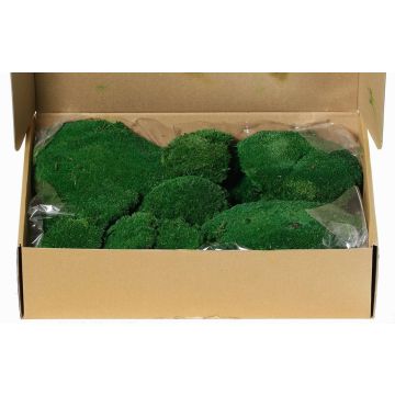 Mousse en plaques naturelle SEETHA, verte, 800g, 0,15 m², 0,15m Mousse en plaques naturelle SEETHA, verte, 800g, 0,15 m², 0,15m