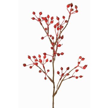 Rameau décoratif de rosier sauvage HIKERNO avec cynorrhodons, rouge, 60cm