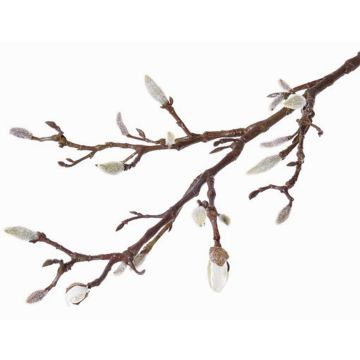 Branche décorative de magnolia ASANI, blanc, 70cm Branche décorative de magnolia ASANI, blanc, 70cm