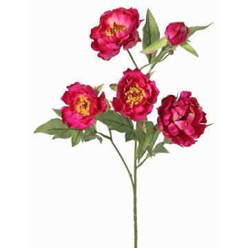 Branche synthétique de pivoine LARDUAN, collection Eco, fuchsia, 60cm, Ø7cm Branche synthétique de pivoine LARDUAN, collection Eco, fuchsia, 60cm, Ø7cm