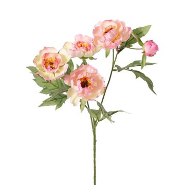 Branche synthétique de pivoine LARDUAN, collection Eco, rose-blanc, 60cm, Ø7cm Branche synthétique de pivoine LARDUAN, collection Eco, rose-blanc, 60cm, Ø7cm