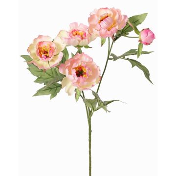 Branche synthétique de pivoine LARDUAN, collection Eco, rose-blanc, 60cm, Ø7cm Branche synthétique de pivoine LARDUAN, collection Eco, rose-blanc, 60cm, Ø7cm