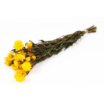 Bouquet séché d'immortelle d'Italie ALMINKA, jaune, 50-60cm, Ø15cm Bouquet séché d'immortelle d'Italie ALMINKA, jaune, 50-60cm, Ø15cm