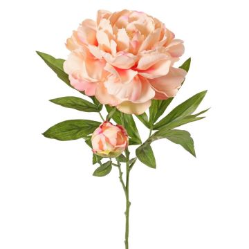 Pivoine synthétique WARDUAN, collection Eco, saumon, 65cm, Ø15cm