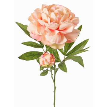 Pivoine synthétique WARDUAN, collection Eco, saumon, 65cm, Ø15cm Pivoine synthétique WARDUAN, collection Eco, saumon, 65cm, Ø15cm
