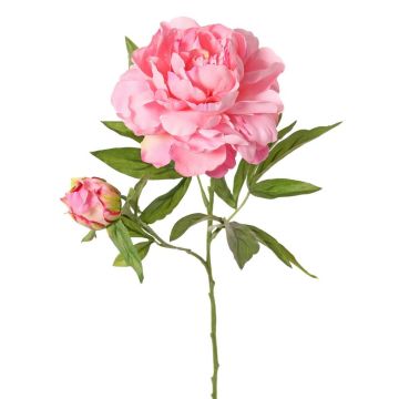 Pivoine synthétique WARDUAN, collection Eco, rose, 65cm, Ø15cm Pivoine synthétique WARDUAN, collection Eco, rose, 65cm, Ø15cm