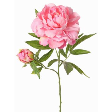 Pivoine synthétique WARDUAN, collection Eco, rose, 65cm, Ø15cm