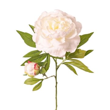 Pivoine synthétique WARDUAN, collection Eco, blanche, 65cm, Ø15cm Pivoine synthétique WARDUAN, collection Eco, blanche, 65cm, Ø15cm