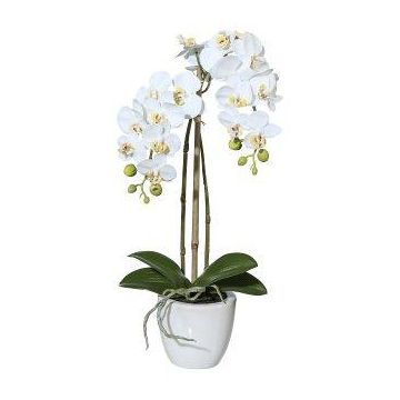 Orchidée Phalaenopsis artificielle LARKEN dans un pot en céramique, racines, blanche, 45 cm Orchidée Phalaenopsis artificielle LARKEN dans un pot en céramique, racines, blanche, 45 cm