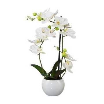 Orchidée Phalaenopsis artificielle INAKES, pot en céramique, racines, blanc, 40cm