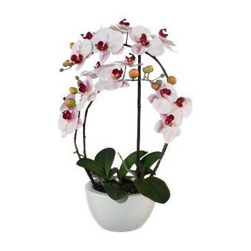 Orchidée Phalaenopsis artificielle INAKES, pot en céramique, racines, rose-blanc, 50cm