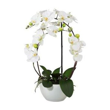 Orchidée Phalaenopsis artificielle INAKES, pot en céramique, racines, blanc, 50cm