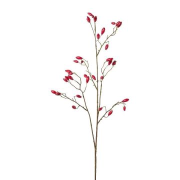 Branche décorative d'églantier ZORLEN avec des cynorrhodons, rouge, 90cm Branche décorative d'églantier ZORLEN avec des cynorrhodons, rouge, 90cm