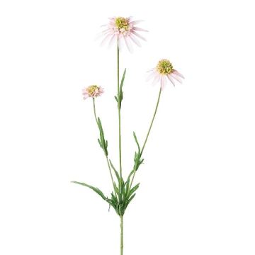 Branche artificielle Rudbeckia KAELY, rose clair, 65cm Branche artificielle Rudbeckia KAELY, rose clair, 65cm