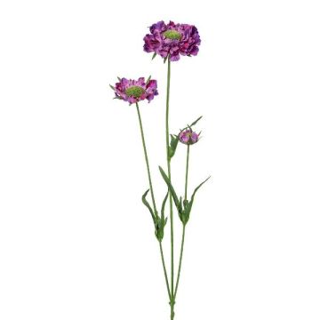 Branche artificielle Scabiosa ATLENTO, violet, 65cm
