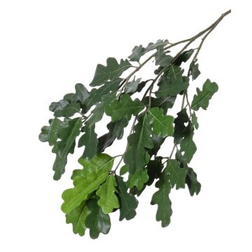 Branche de chêne artificielle KALLI, crossdoor, 70cm Branche de chêne artificielle KALLI, crossdoor, 70cm