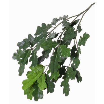 Branche de chêne artificielle KALLI, crossdoor, 70cm Branche de chêne artificielle KALLI, crossdoor, 70cm