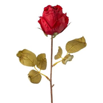 Fleur décorative Rose GROLK, aspect sec, rouge, 45cm, Ø6cm Fleur décorative Rose GROLK, aspect sec, rouge, 45cm, Ø6cm