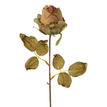 Fleur décorative Rose GROLK, aspect sec, vert-brun, 45cm, Ø6cm Fleur décorative Rose GROLK, aspect sec, vert-brun, 45cm, Ø6cm