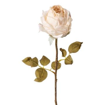 Fleur décorative Rose ZONFER, crème, 60cm Fleur décorative Rose ZONFER, crème, 60cm