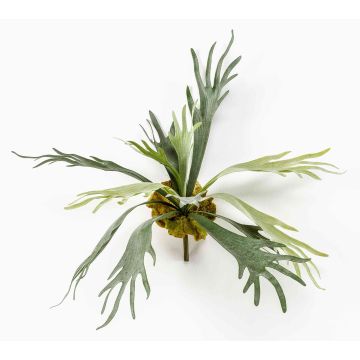 Fougère décorative corne de cerf CHARLS à planter, vert, 50cm, Ø70cm Fougère décorative corne de cerf CHARLS à planter, vert, 50cm, Ø70cm